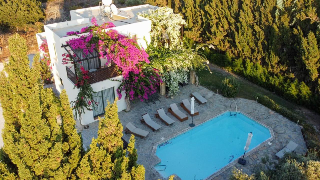 Banana Sunset Villas Paphos Exterior foto