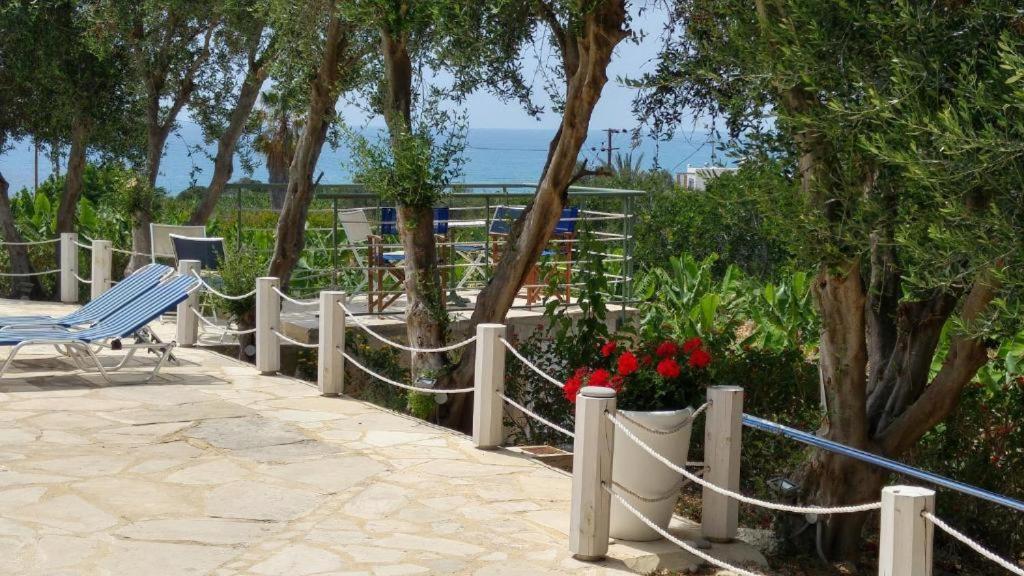 Banana Sunset Villas Paphos Exterior foto