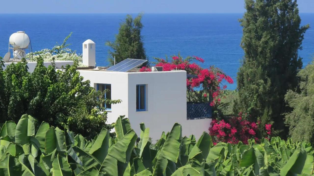 Banana Sunset Villas Paphos Exterior foto