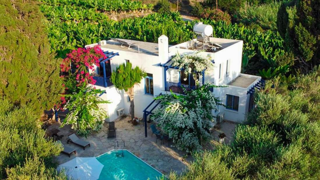Banana Sunset Villas Paphos Exterior foto