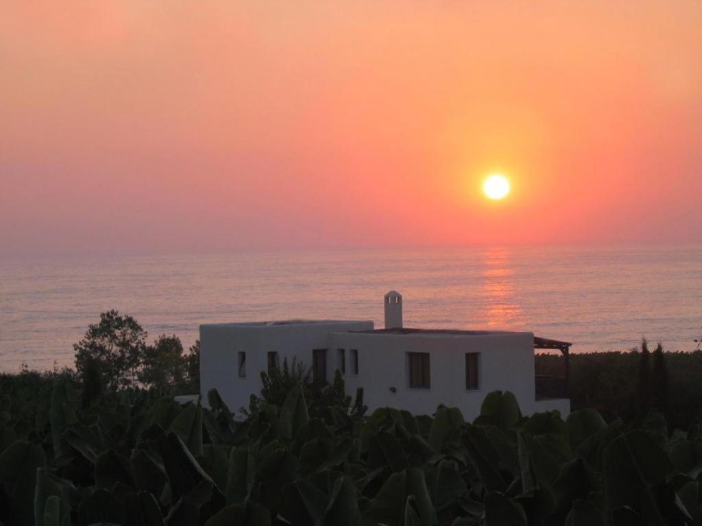 Banana Sunset Villas Paphos Exterior foto